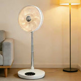 folding fan