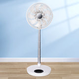 folding fan