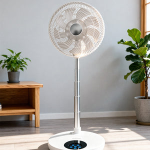 folding fan