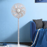 folding fan
